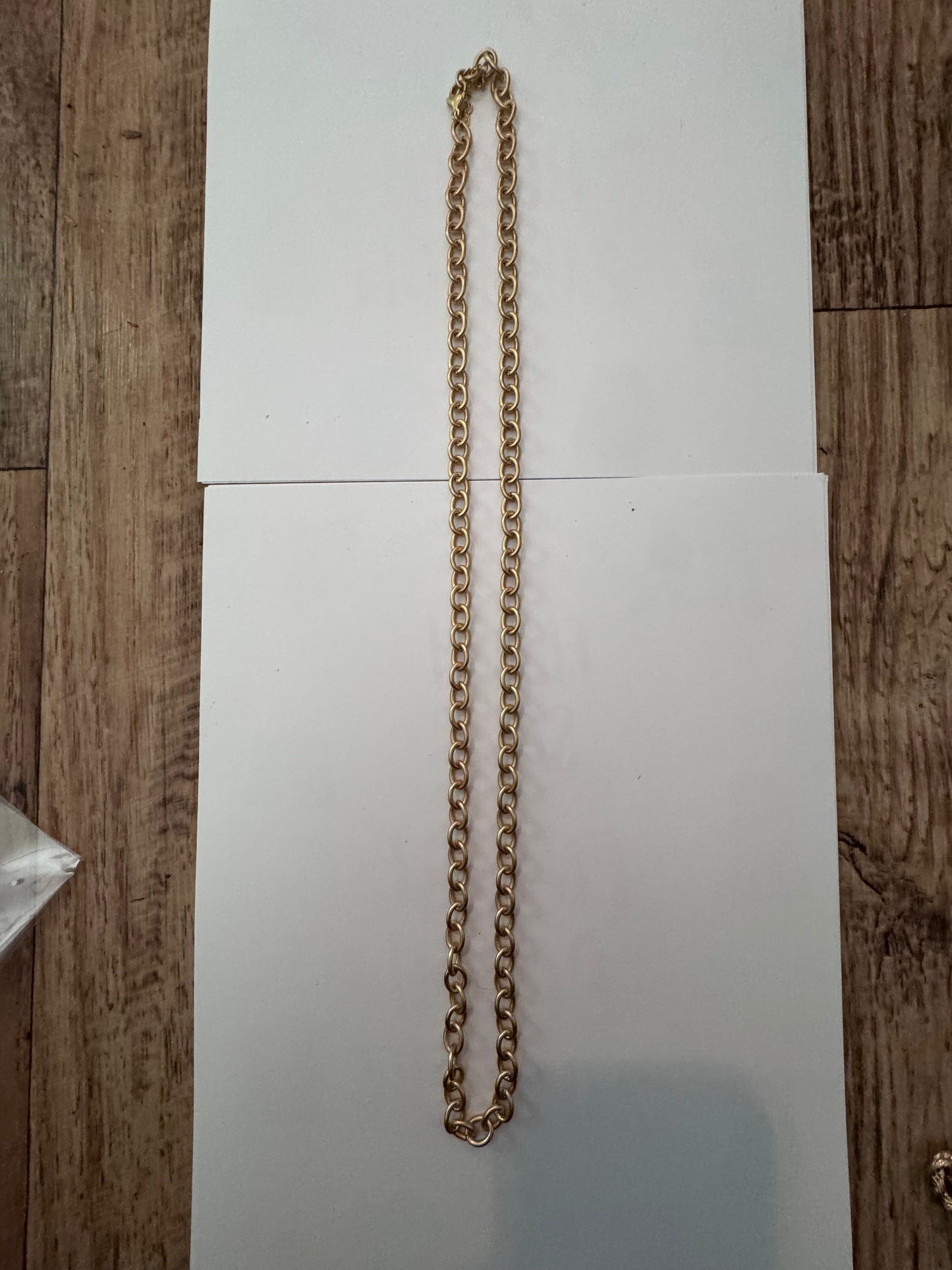 Goldtone Long Chain