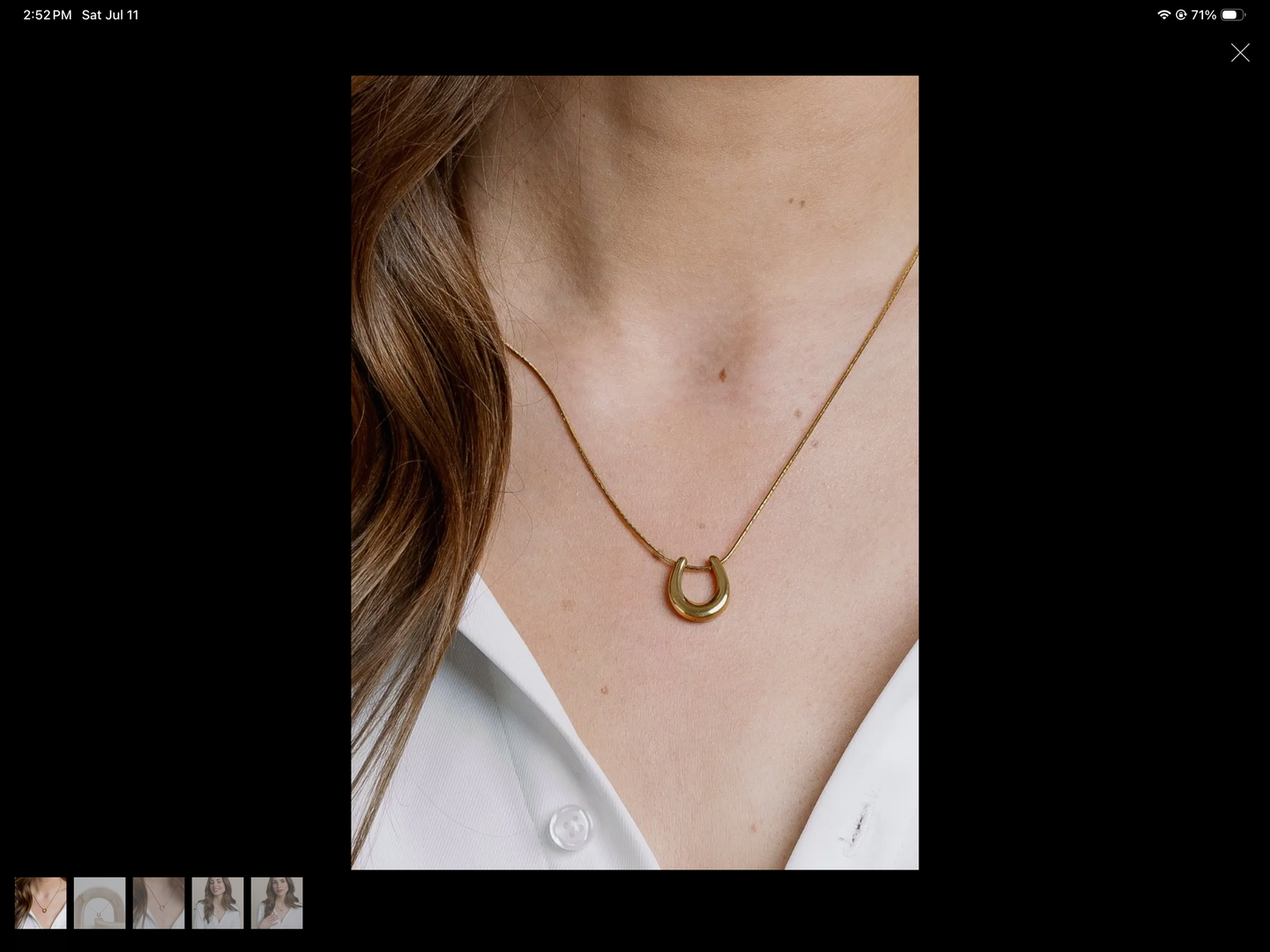 Hold Your Horses Horseshoe Necklace