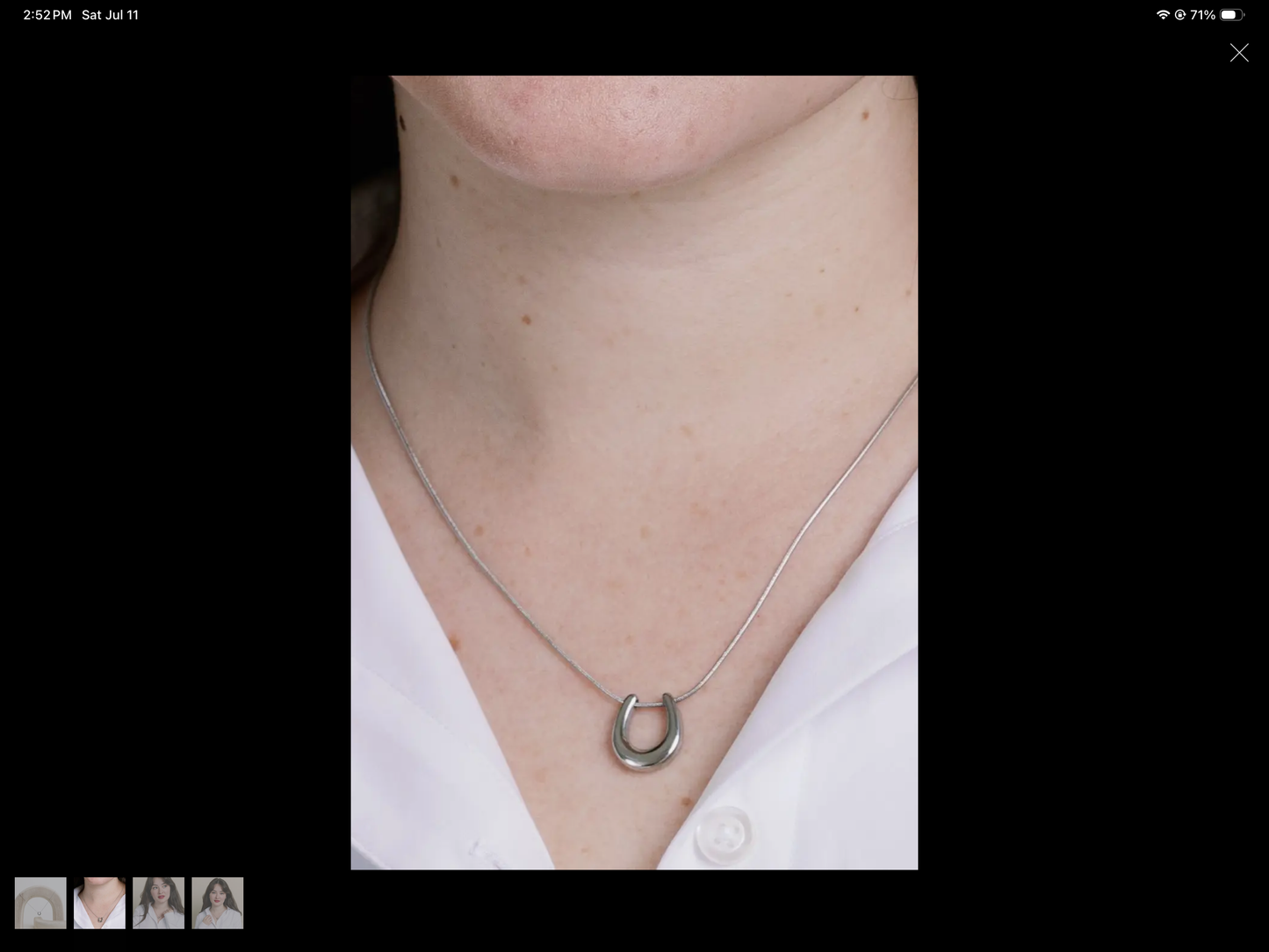 Hold Your Horses Horseshoe Necklace